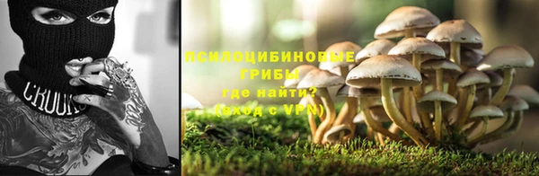 соль курить ск Алзамай